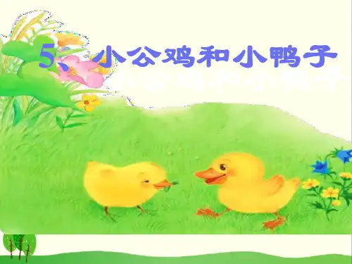 《小公鸡和小鸭子》PPT优秀课件12讲课教案