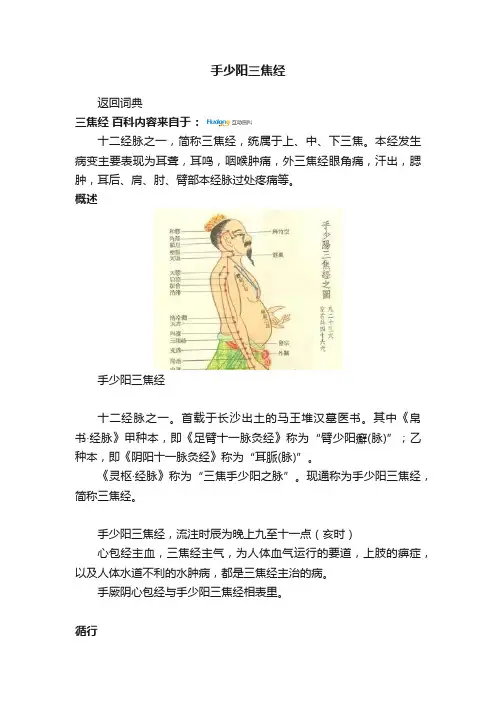手少阳三焦经