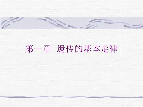 第一章  遗传的基本定律
