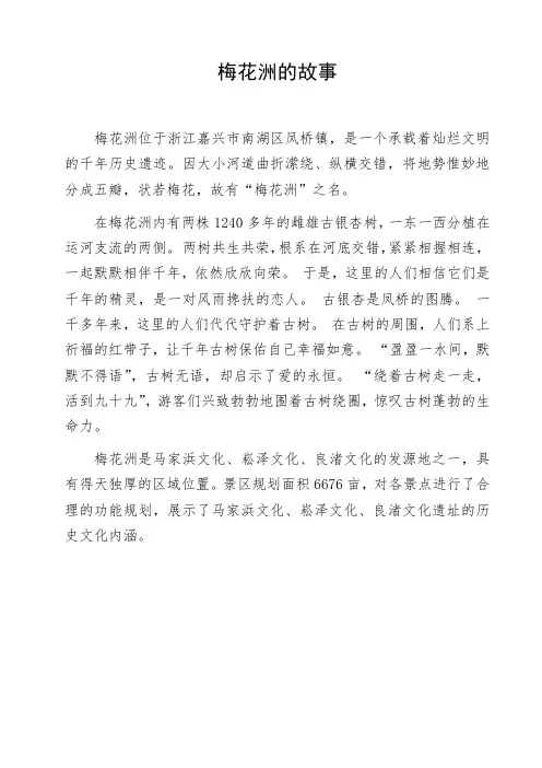 梅花洲的故事