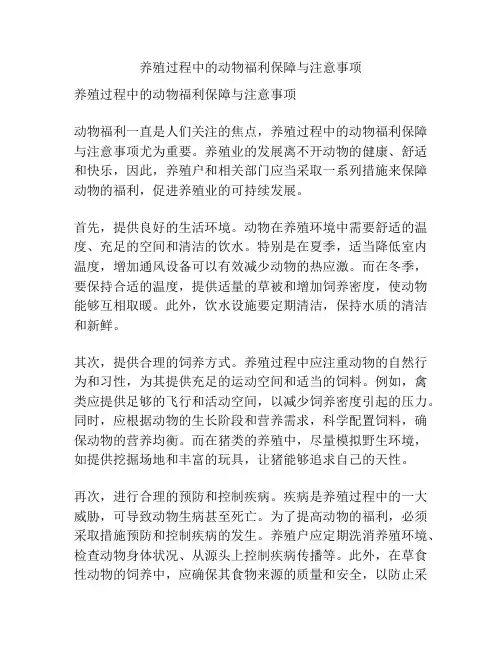 养殖过程中的动物福利保障与注意事项