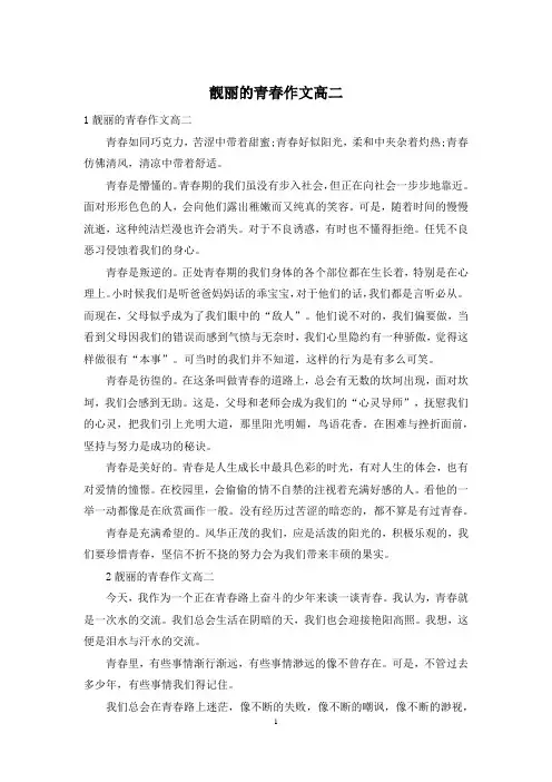 靓丽的青春作文高二