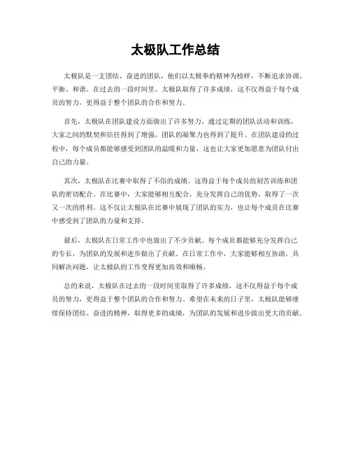 太极队工作总结
