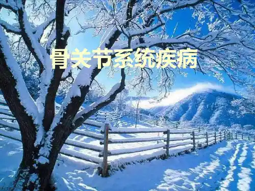 影像骨关节系统疾病精品PPT课件