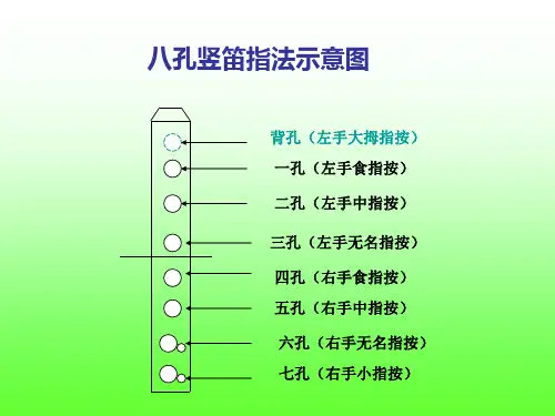 八孔竖笛指法(转)