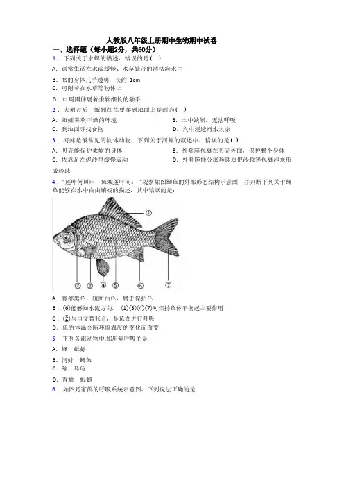 2023-2024学年生物期中试卷(含解析)人教版八年级上册