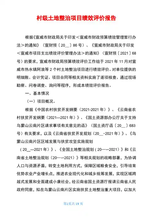 村级土地整治项目绩效评价报告