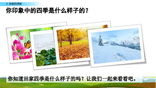 部编版二年级语文上册《识字4.田家四季歌》课件完整版