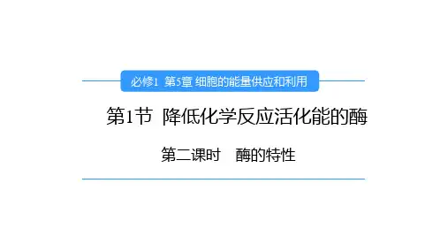 酶的特性(教学课件)-高一上学期生物人教版(2019)必修1