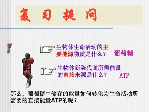 人教版教学课件ATP的来源---细胞呼吸