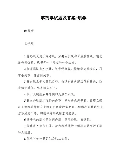 解剖学试题及答案-肌学