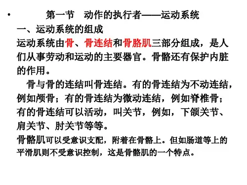 第一章幼儿身体各系统各器官的生长发育特点与卫生保健ppt课件