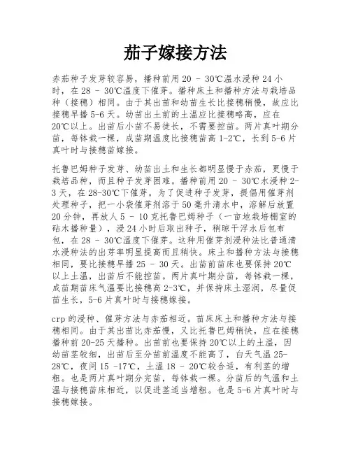 茄子嫁接方法