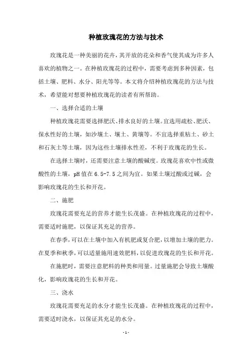 种植玫瑰花的方法与技术