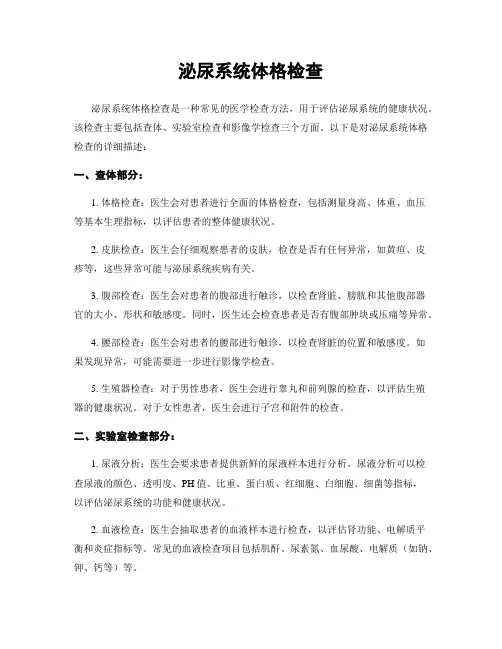 泌尿系统体格检查