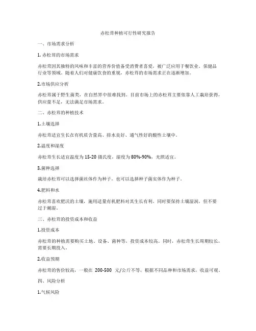 赤松茸种植可行性研究报告