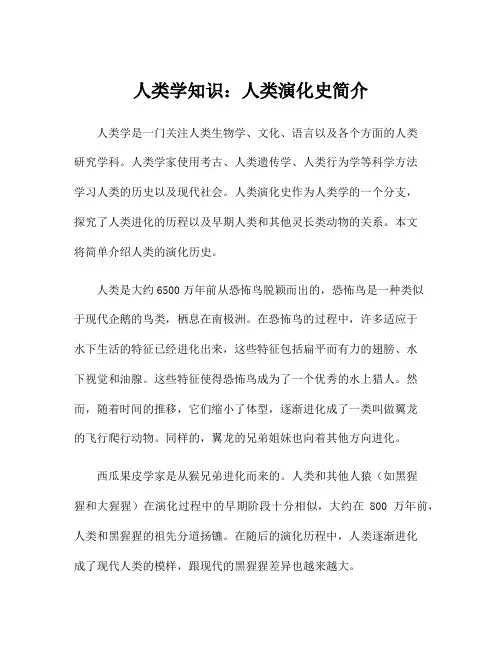人类学知识：人类演化史简介