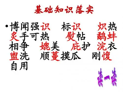 成语运用PowerPoint 演示文稿