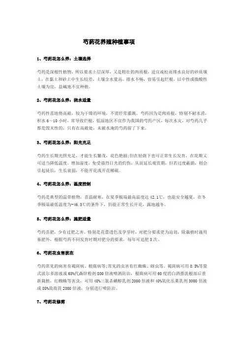 芍药花的种植方法及养护