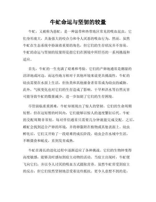 牛虻命运与坚韧的较量