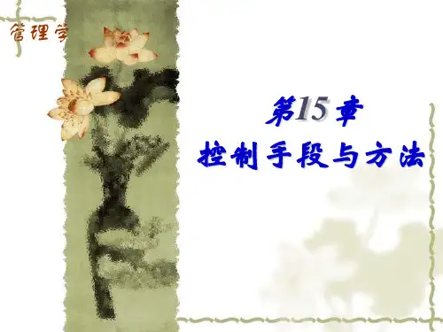 控制手段与方法ppt课件