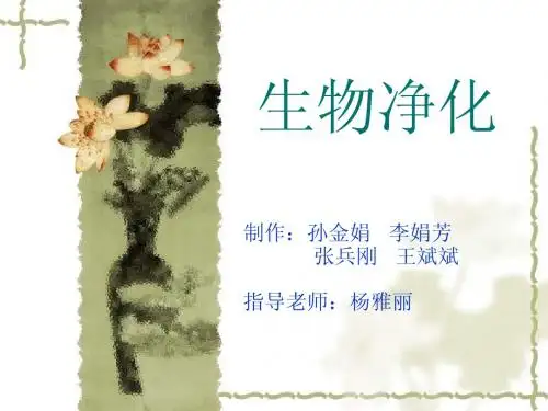生物净化