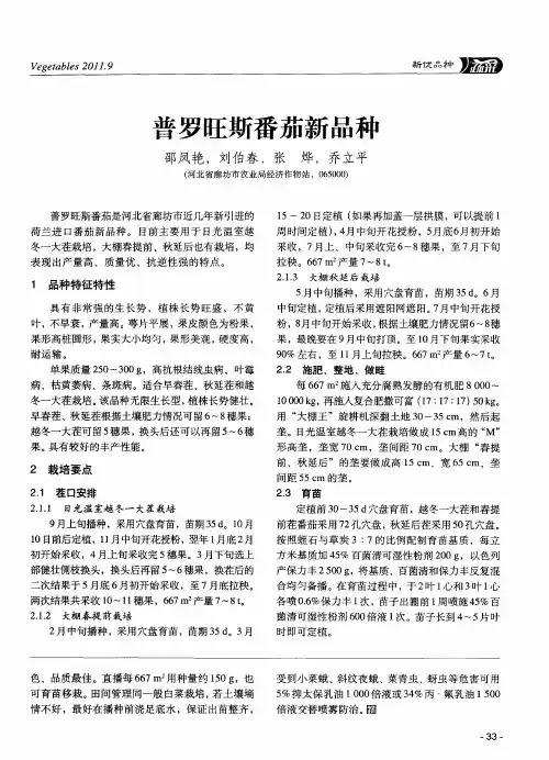 普罗旺斯番茄新品种