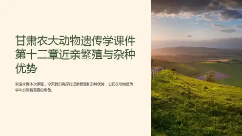 甘肃农大动物遗传学课件第十二章近亲繁殖与杂种优势