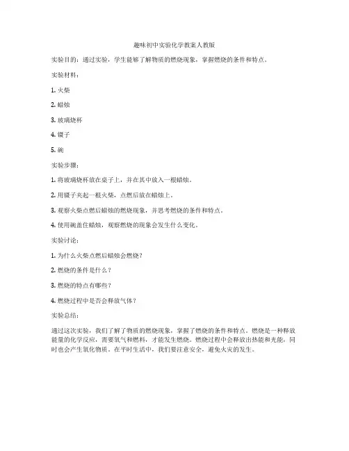 趣味初中实验化学教案人教版