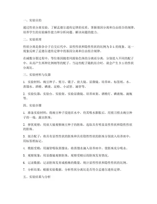 性状分离操作实验报告