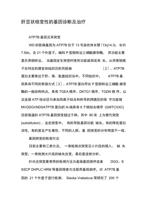 肝豆状核变性的基因诊断及治疗