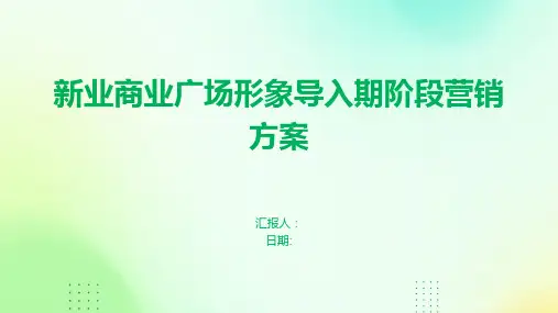 新业商业广场形象导入期阶段营销方案