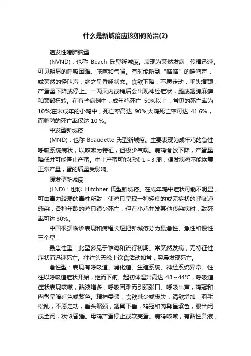 什么是新城疫应该如何防治（2）