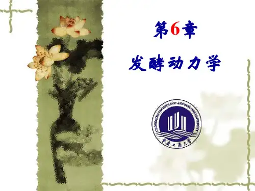 第6章 发酵动力学