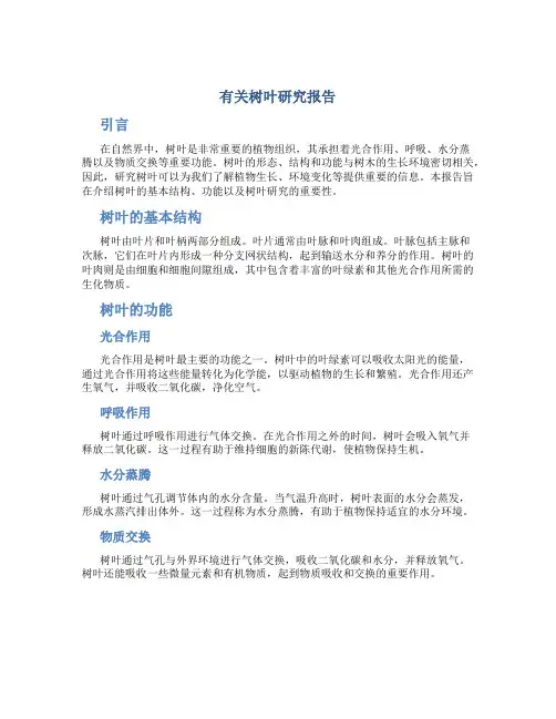 有关树叶研究报告