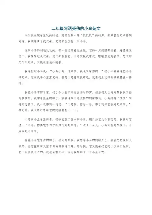 二年级写话受伤的小鸟范文