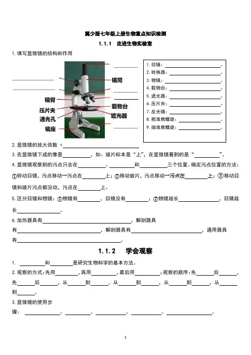 七年级上册生物复习提纲