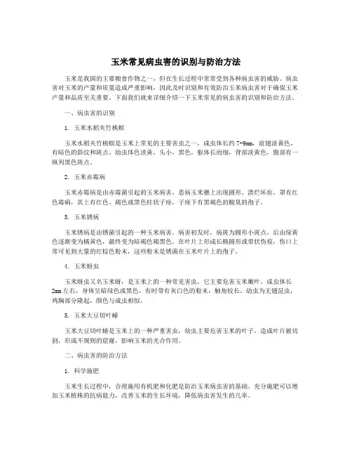 玉米常见病虫害的识别与防治方法