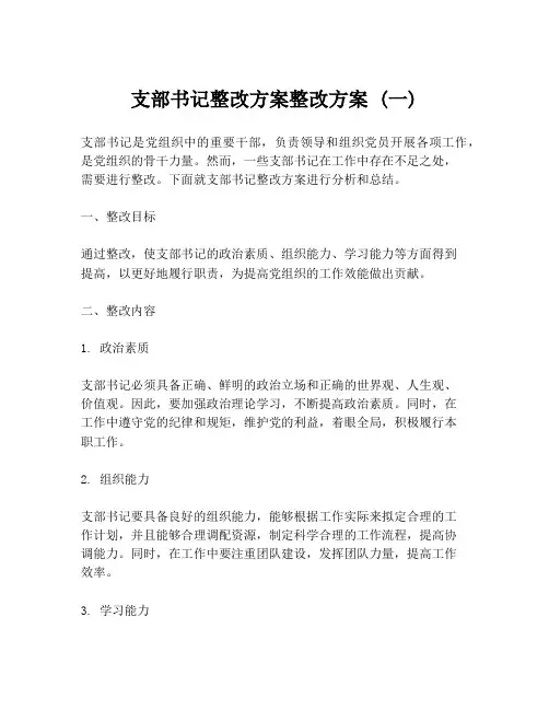 支部书记整改方案整改方案 (一)