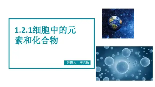 人教版生物必修一2.1细胞中的元素和化合物课件(共21张PPT)