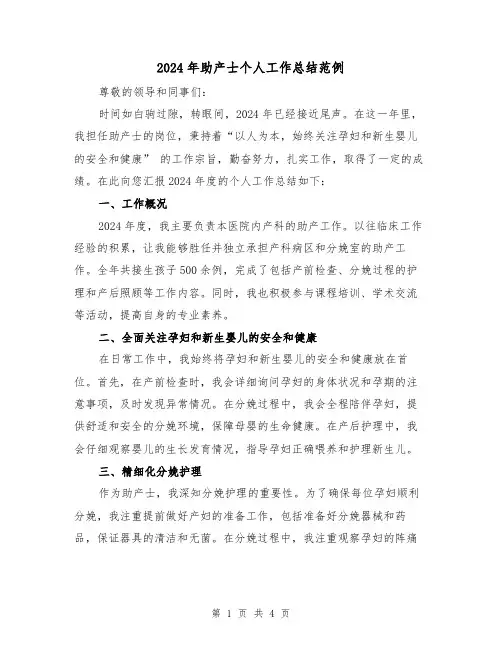 2024年助产士个人工作总结范例（2篇）
