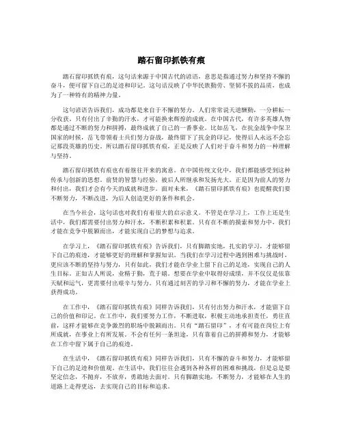 踏石留印抓铁有痕