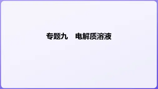 高三化学二轮复习专题九电解质溶液课件