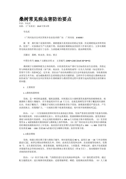 桑树常见病虫害防治要点