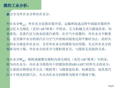 煤的基本知识