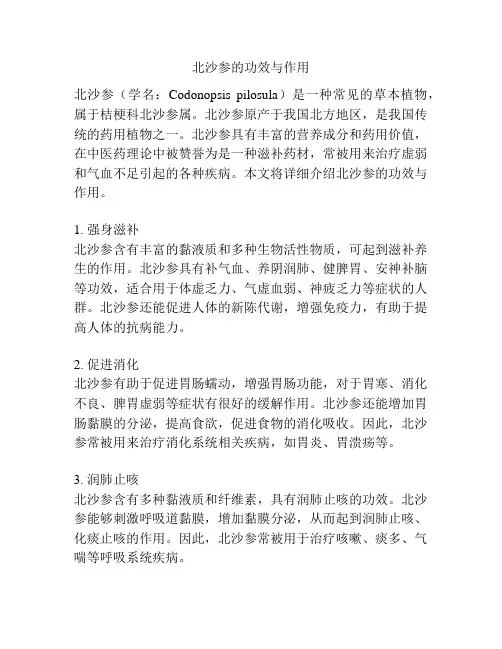 北沙参的功效与作用