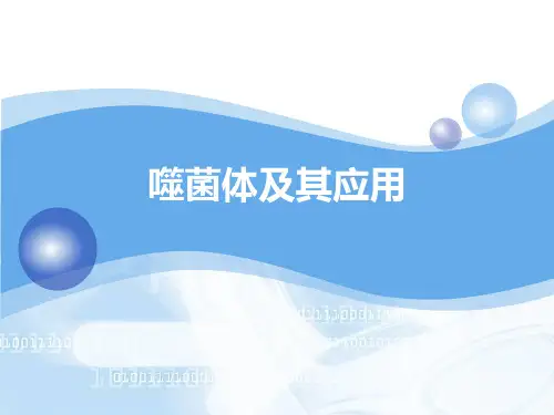 噬菌体及其研究进展PPT