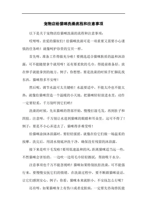 宠物店给猫咪洗澡流程和注意事项