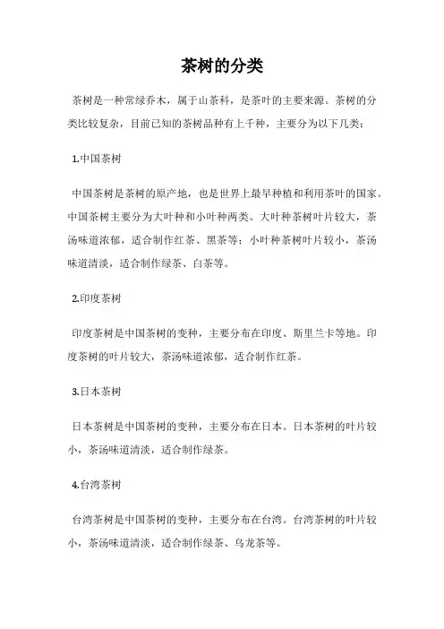 茶树的分类
