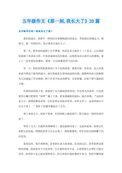 五年级作文《那一刻,我长大了》20篇